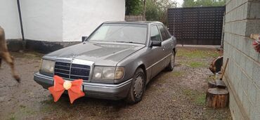 Mercedes-Benz: Mercedes-Benz W124: 1987 г., 2.3 л, Механика, Бензин, Кабриолет