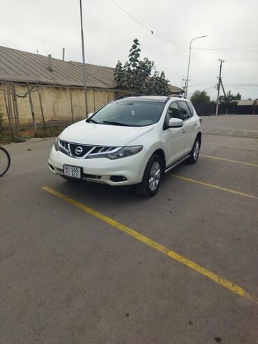 капалка копалка картофелекопалка: Nissan Murano: 2012 г., 3.5 л, Автомат, Бензин, Кроссовер