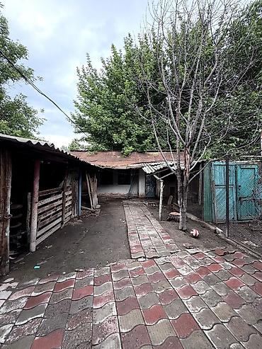 Продажа коттеджей и домов: 5 и более комнат, 92 м², 20 соток, Сокулук at lalafo.kg — 3 Продажа коттеджей и домов: 5 и более комнат, 92 м², 20 соток, Сокулук — 3
