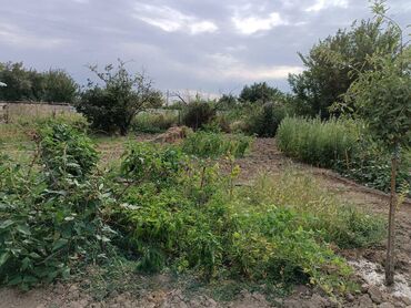 Həyət evləri və villaların satışı: 4 otaqlı, 144 kv. m, Kredit var, Orta təmir -da lalafo.az — 14 Həyət evləri və villaların satışı: 4 otaqlı, 144 kv. m, Kredit var, Orta təmir — 14