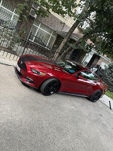 мустанг авто: Ford Mustang: 2017 г., 2.3 л, Автомат, Бензин, Купе — 3