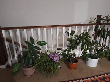 Обшивка лестниц: Лестница жазайбыз заказ менен замер установка байланыш телефон — 16