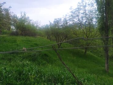 Torpaq sahələrinin satışı: Yaşıl otlar və müxtəlif ağaclarla örtülmüş, yamaclı ərazidə yerləşən — 4