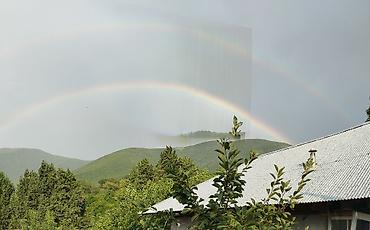 Həyət evləri və villaların satışı: 5 otaqlı, 600 kv. m — 15