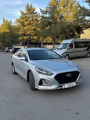 ноускат соната: Hyundai Sonata: 2020 г., 2 л, Автомат, Газ, Седан — 2