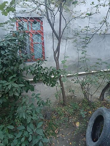 Həyət evləri və villaların satışı: 8 otaq, 90 kv. m, Orta təmir — 14