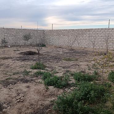 koroğlu: Satılır: həyət evi - Plan: geniş zal, iri mətbəx, sanitar qovşağı — 8