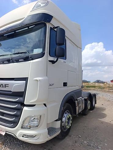 daf 95 480: Тягач, DAF, 2019 г., Без прицепа — 5