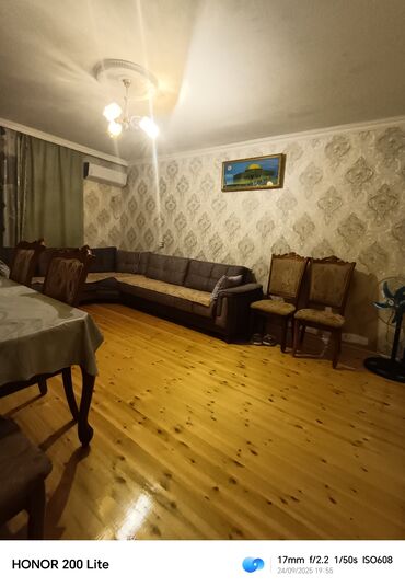 chia toxumu harda satılır: Divan