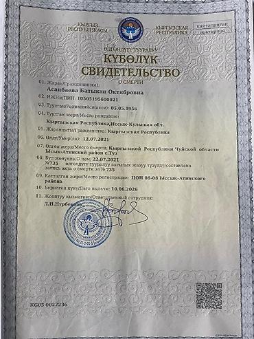 джал квартира посуточно: 2 бөлмө, 50 м², 1500 соток, Түп, Менчик ээси — 3