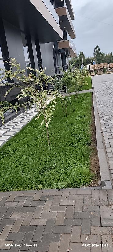 sprinter 315: Гидропосев газона под ключ Профессиональный гидропосев для частных — 7