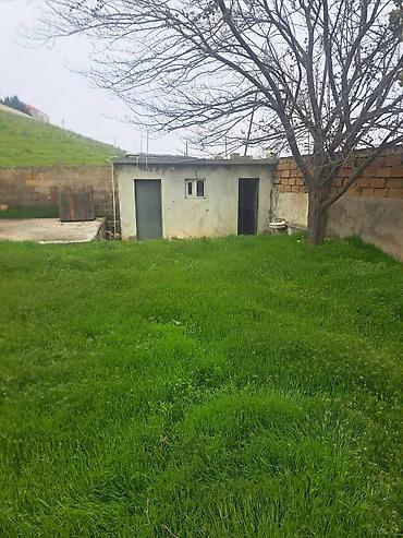 20 ci sahədə satilan evlər: 12 sot, Tikinti, Kupça (Çıxarış) — 10