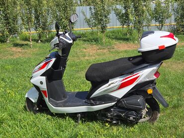 сколько стоит электрический мотоцикл: Скутер 125 куб. см, Бензин