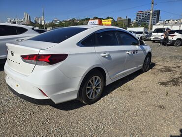 Hyundai: Hyundai Sonata: 2018 г., 2 л, Автомат, Газ, Седан