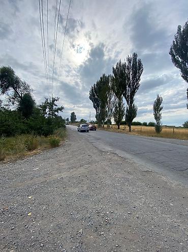 Продажа коттеджей и домов: Прекрасное предложение для тех кто хотел свой бизнес продается — 19