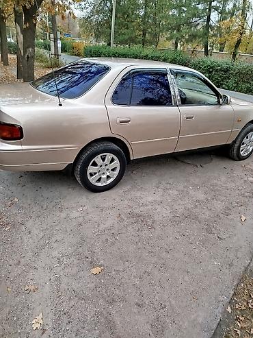 тойота камри 1996: Toyota Camry: 1996 г., 3 л, Механика, Газ, Седан — 2