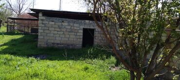 Həyət evləri və villaların satışı: Goranboy r-nu Nizami kəndi ( Gəncədən 15 km) 3 otaqlı ev ( böyük otağı -da lalafo.az — 8 Həyət evləri və villaların satışı: Goranboy r-nu Nizami kəndi ( Gəncədən 15 km) 3 otaqlı ev ( böyük otağı — 8