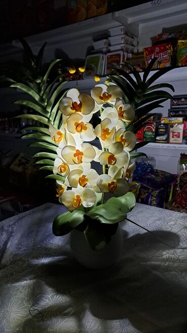 Утепленные жилеты: Орхидея 
Орхидея светильник 
Цветы Бишкек
Светильник 
Ручнаяработа — 5