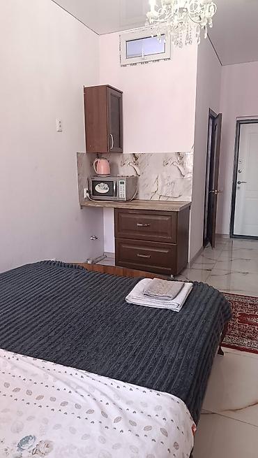studio apartment: Студия с санузлом в многоэтажном доме. - Планировка: одна комната с — 2