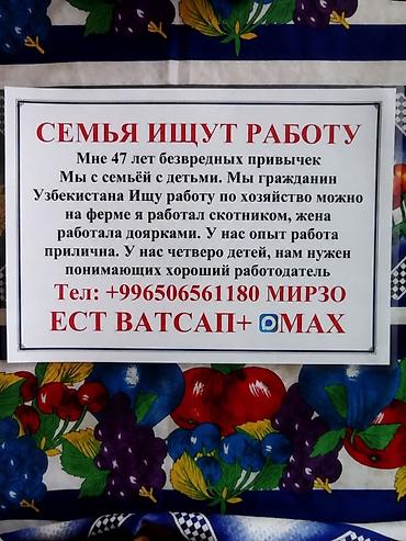 жена: СЕМЬЯ ИЩЕТ РАБОТУ Мне 47 лет, без вредных привычек. Мы с семьёй, с — 2
