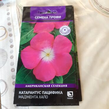 Другие книги и журналы: Продается семена дельфиниумов и катарантусов — 20