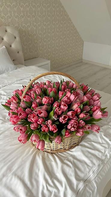 Другие услуги в сфере красоты и здоровья: Тюльпаны по 100 сом 
Оформим, доставим во время ☺️ 
От 200 шт 90 сом — 2