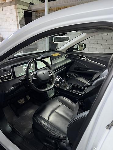 BYD: BYD : 2024 г., Автомат, Электромобиль, Кроссовер — 7