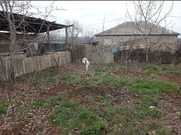 Həyət evləri və villaların satışı: 4 otaqlı, 120 kv. m, Kredit yoxdur, Orta təmir — 7