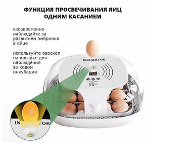Товары и оборудование для с/х животных: Инкубатор на 16 яиц #Инкубатор #БизнесИнкубатор — 2
