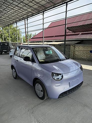 крыло на лупарик: Microcar : 2026 г., Автомат, Электромобиль, Хэтчбэк — 4
