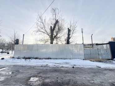 Продажа участков: 24 соток, Красная книга at lalafo.kg — 3 Продажа участков: 24 соток, Красная книга — 3