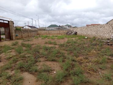 Torpaq sahələrinin satışı: 25 sot, Tikinti, Kupça (Çıxarış) — 2