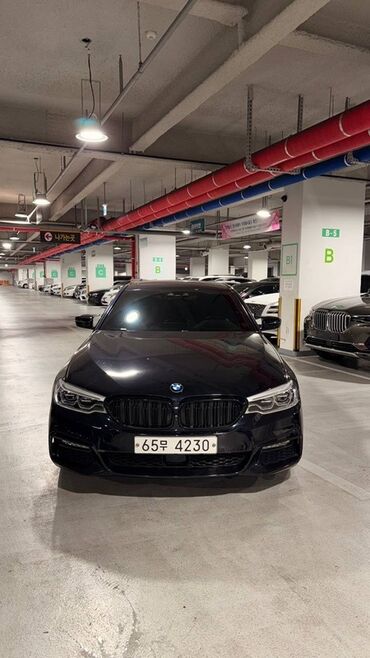 купить byd song plus: BMW 5 series: 2019 г., 2 л, Автомат, Бензин, Седан