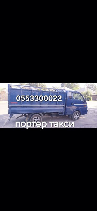 восточная ориентальная кошка: Пор тер так си любой груз вывоз мусор вывоз мусор вывоз мусор вывоз