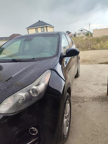 accord 6: Kia Sportage: 2017 г., 2.4 л, Автомат, Бензин, Кроссовер — 2