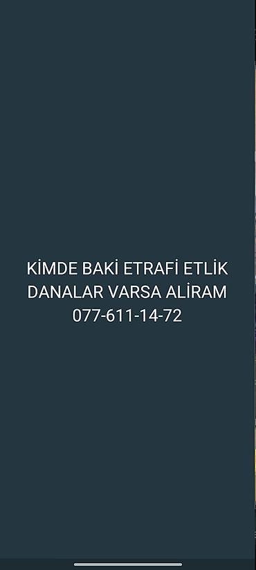 danşan quş: Xidmət: Bakı və yaxın ərazilərdə ətlik danaların alınması Təsvir: - — 1
