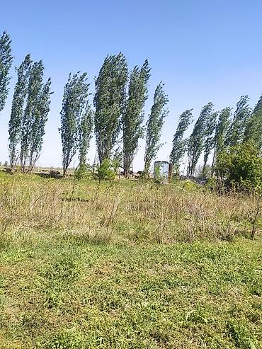 куры живые: Farm КРС, 10000 соток, Действующий, Частично с оборудованием, Электричество — 2