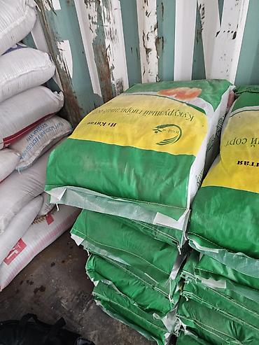 Семена льна: Семена люцерна,очищенный,магниченый,8летка Оптом и в розницу at lalafo.kg — 8 Семена льна: Семена люцерна,очищенный,магниченый,8летка Оптом и в розницу — 8