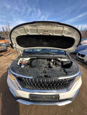 Kia: Kia Carnival: 2020 г., Автомат, Минивэн — 33