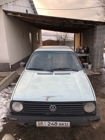 Volkswagen: Volkswagen Golf: 1991 г., 1.8 л, Механика, Бензин, Хэтчбэк