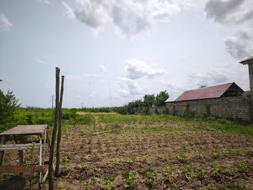 xacmaz torpag: 9 sot, Tikinti, Mülkiyyətçi, Kupça (Çıxarış)