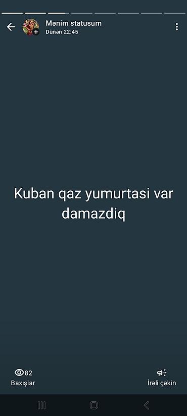 sud ceni: Kuban cinsinə aid qaz yumurtası – damazlıq. - Cins: Kuban qazı - — 1