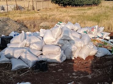 гул койгуч: Kakavit Dekarasiya Agacalar Parnik Ağaclari gülər üçün əlverişlidir