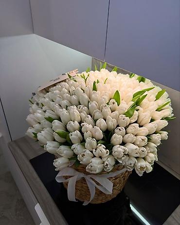 Другие услуги в сфере красоты и здоровья: Тюльпаны по 100 сом 
Оформим, доставим во время ☺️ 
От 200 шт 90 сом — 18