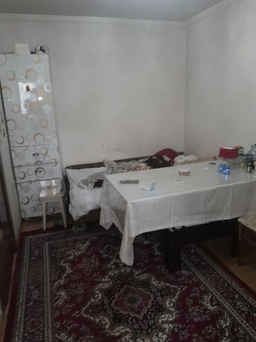 Çöl bitkiləri: Zabrat 2 stansiyasına yaxındir. sənəd kupça avtobus dayanacağına — 12