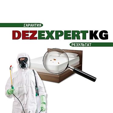 генератор без: Дезинфекция, дезинсекция, | Клопы, | Дома, Кафе, магазины, Квартиры — 1