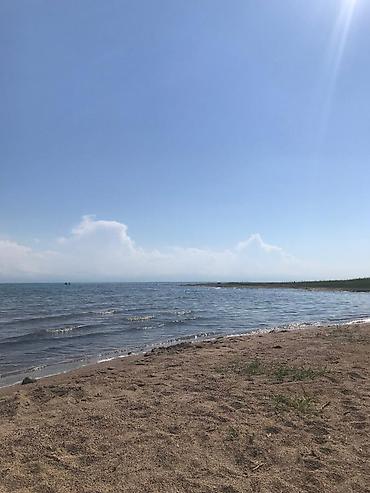 айни белинка: Сдаю в аренду Гостевой дом с отдельными номерами и большим внутренним — 10