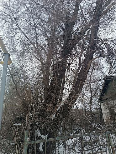 Продажа комнат: Строй материалы дом времянка из кирпича,продам нужно освободить — 4