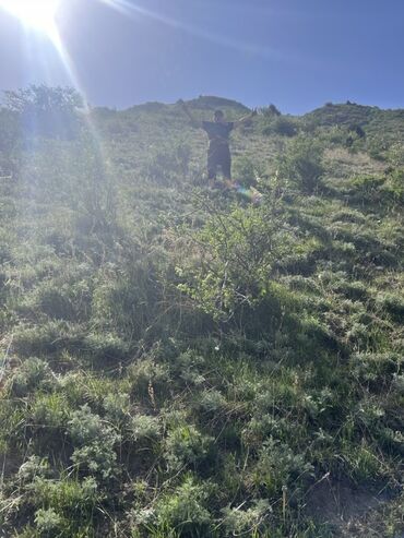 СТО, ремонт транспорта: Рихтовка, сварка, покраска at lalafo.kg — 6 СТО, ремонт транспорта: Рихтовка, сварка, покраска — 6