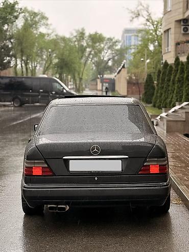 Mercedes-Benz: Mercedes-Benz E-Class: 1994 г., 3.2 л, Автомат, Бензин, Седан — 5